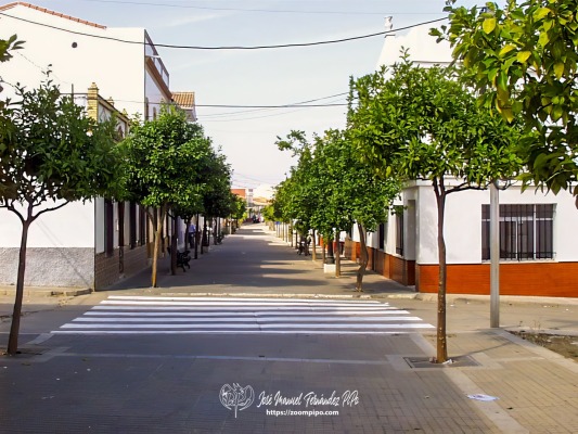 PIC00022-E