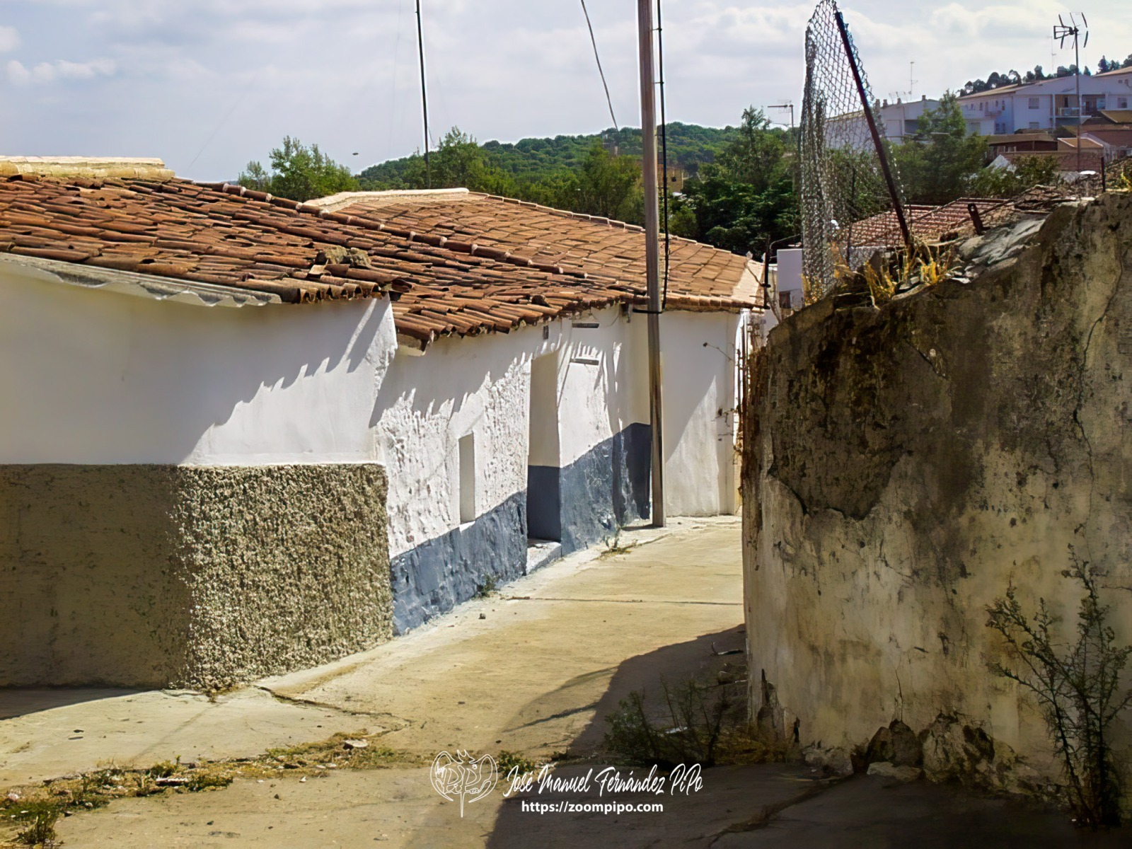 PIC00026-E