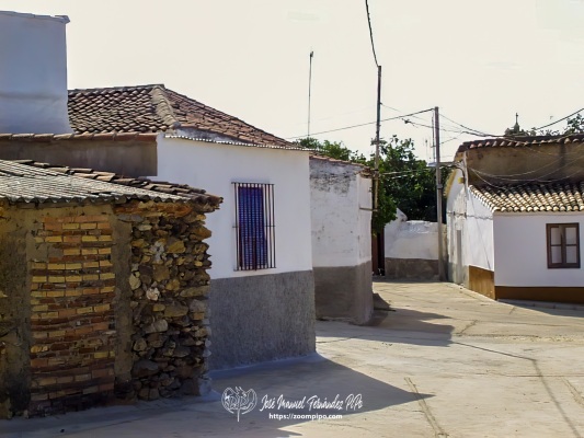 PIC00031-E
