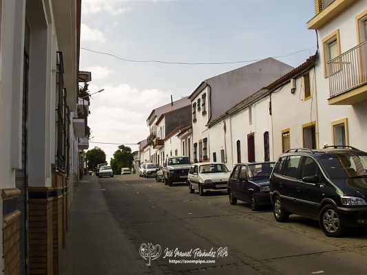 PIC00035-E