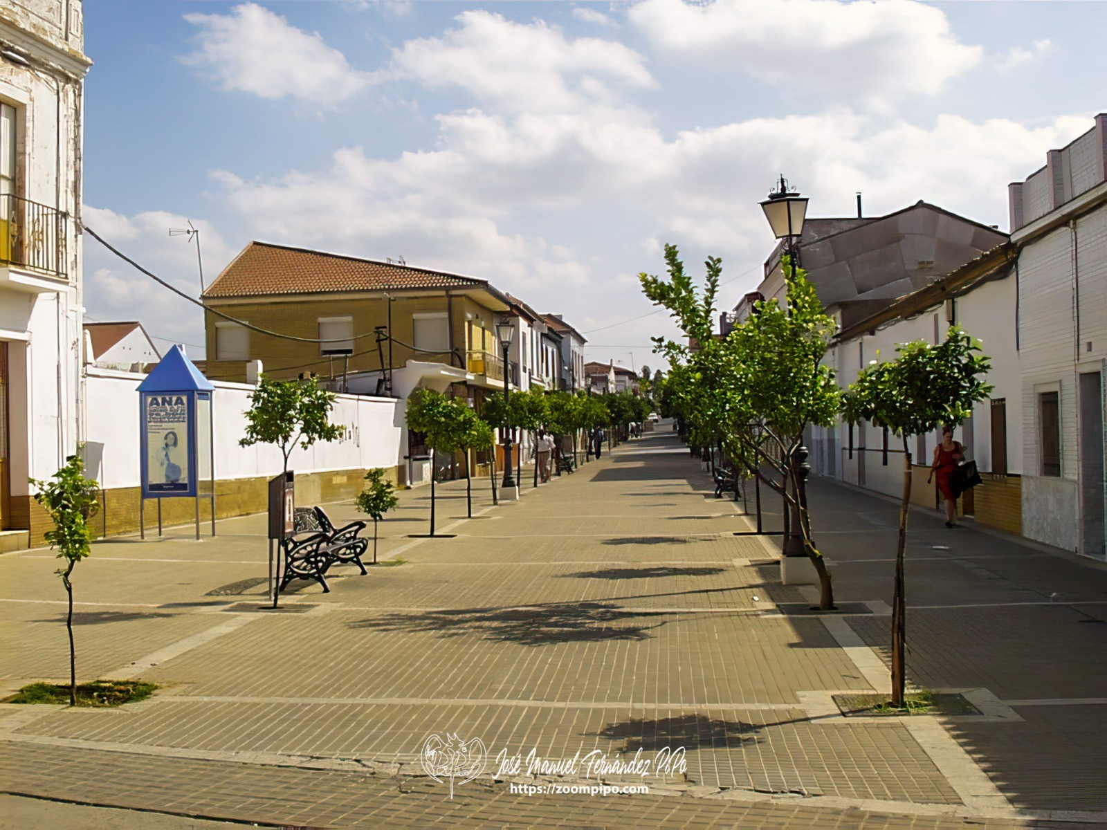 PIC00036-E