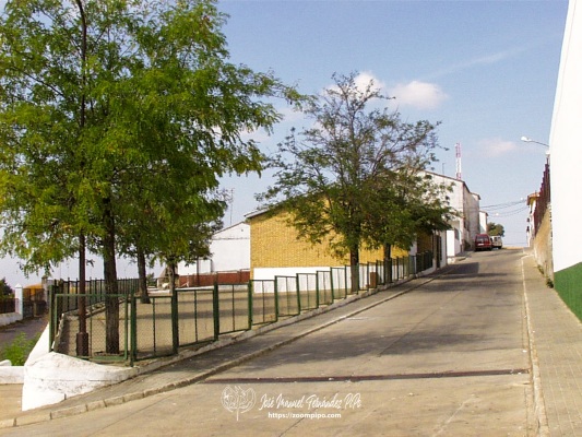 PIC00042-E