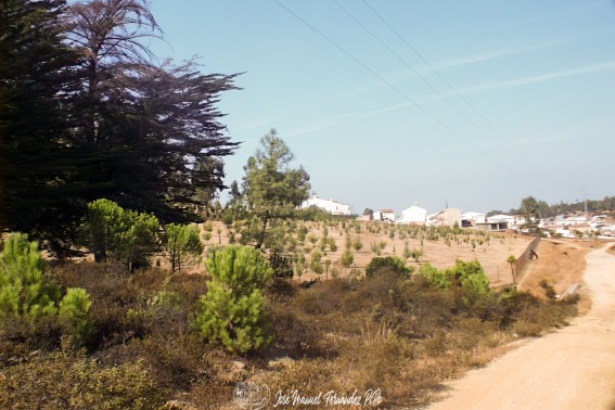 El Campillo 24-09-00