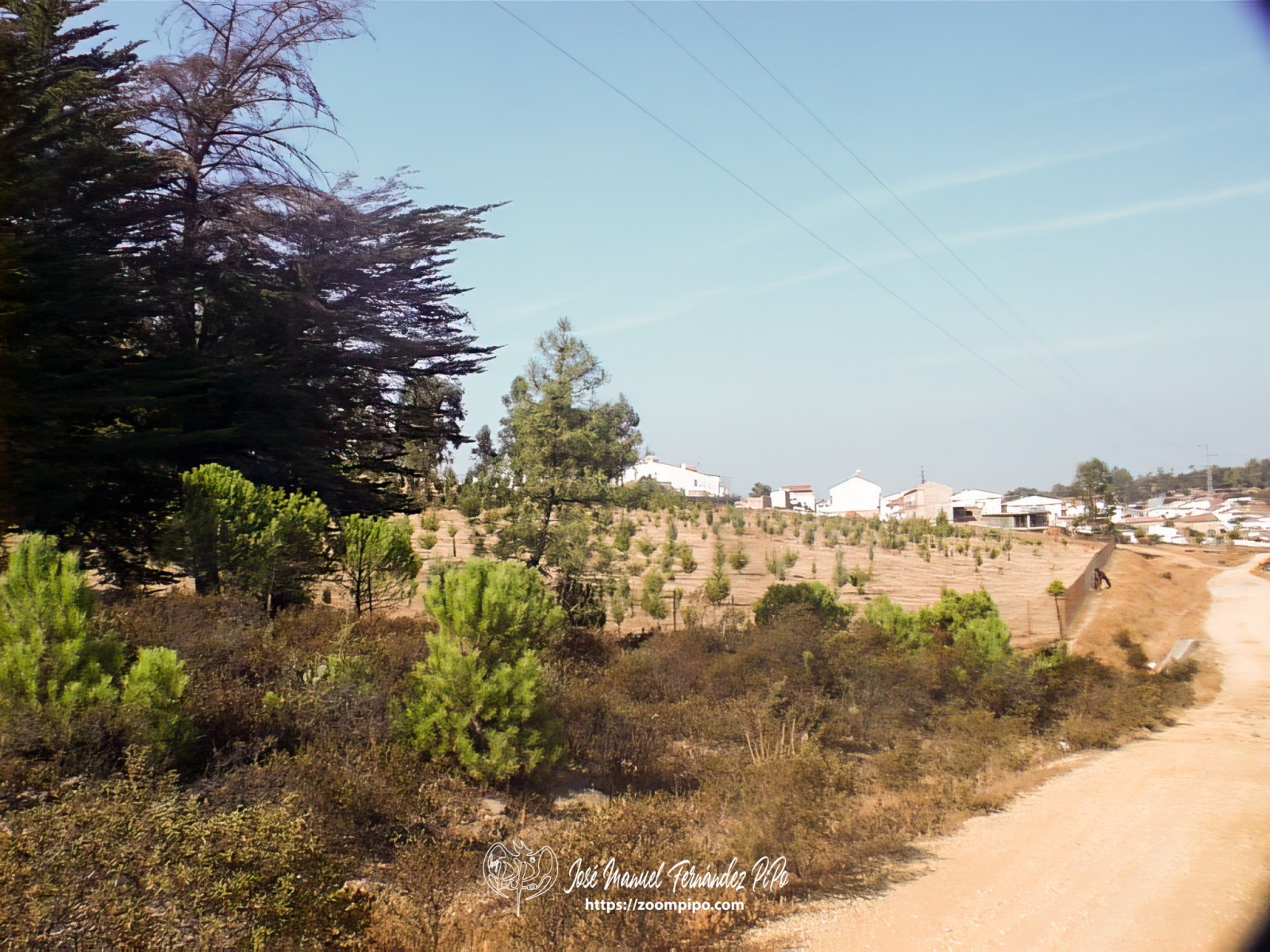 oIC00042-E