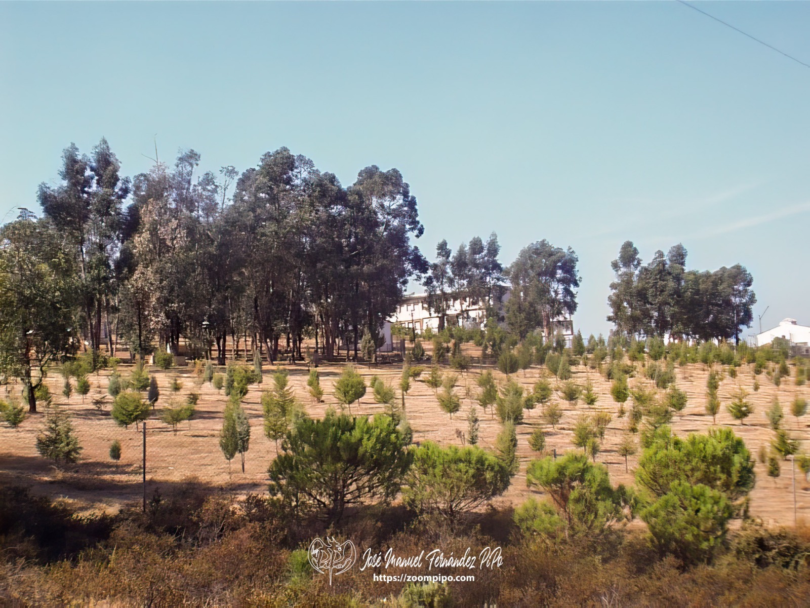 oIC00043-E
