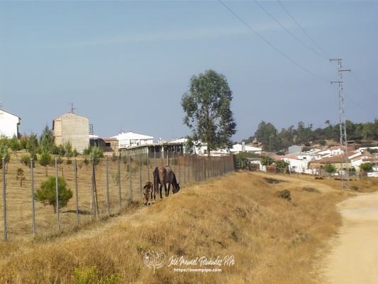 oIC00045-E