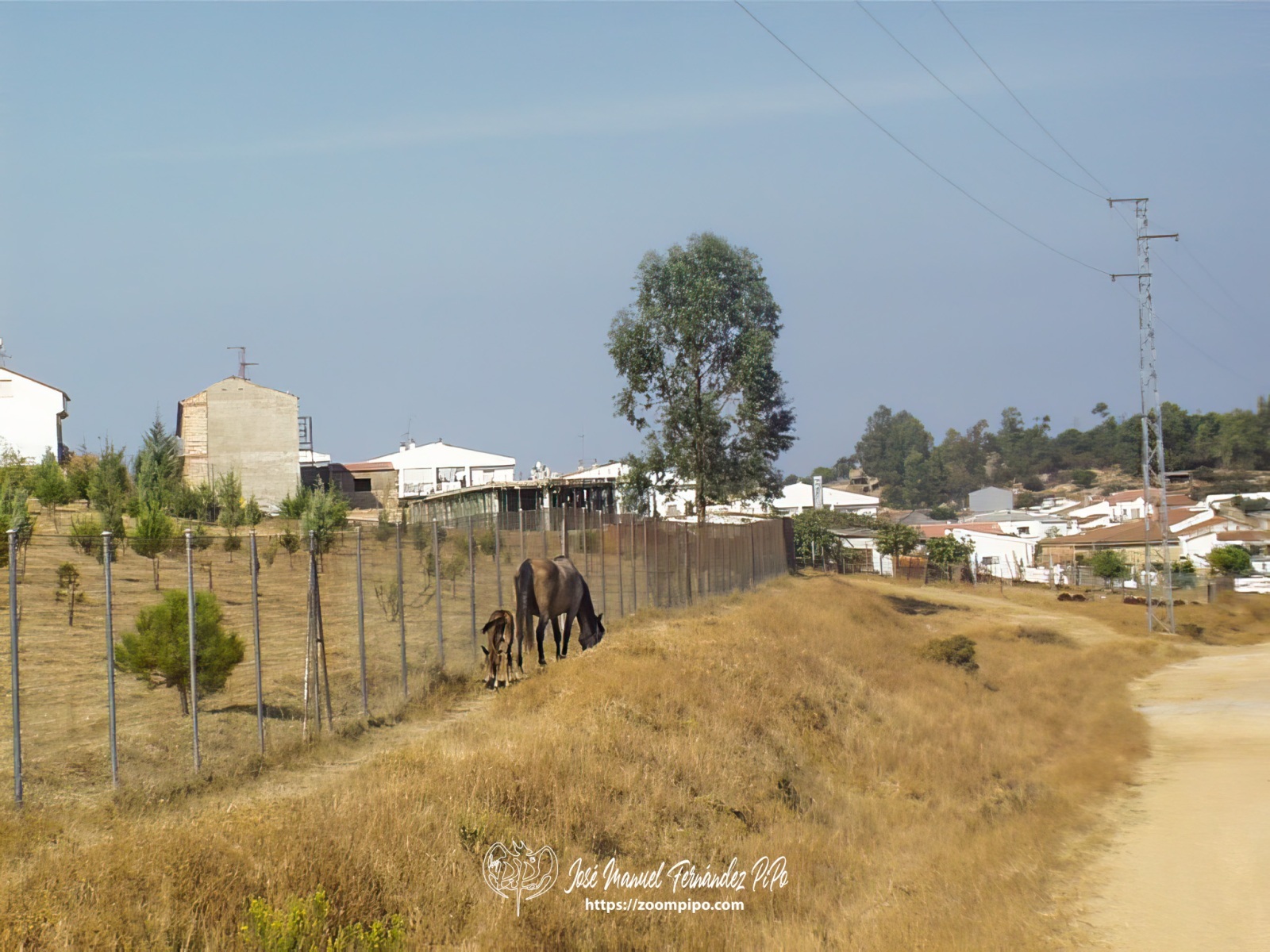 oIC00045-E