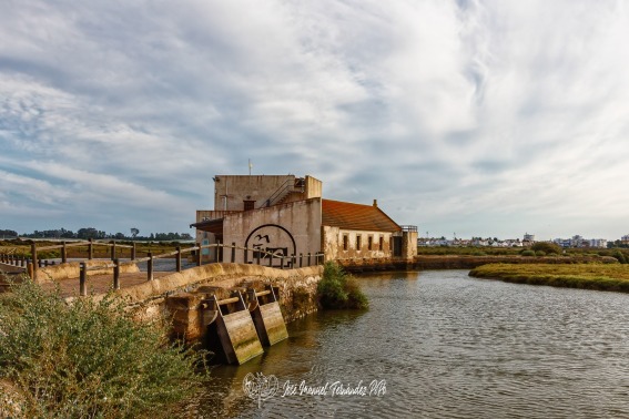 El Molino de El Pintado. Isla Cristina. 10-06-23