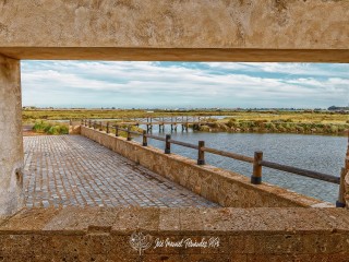 El Molino de El Pintado. Isla Cristina. 10-06-23