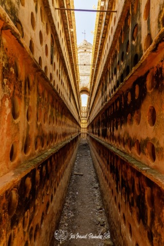 PiPo-561397-HDR-Editarrl