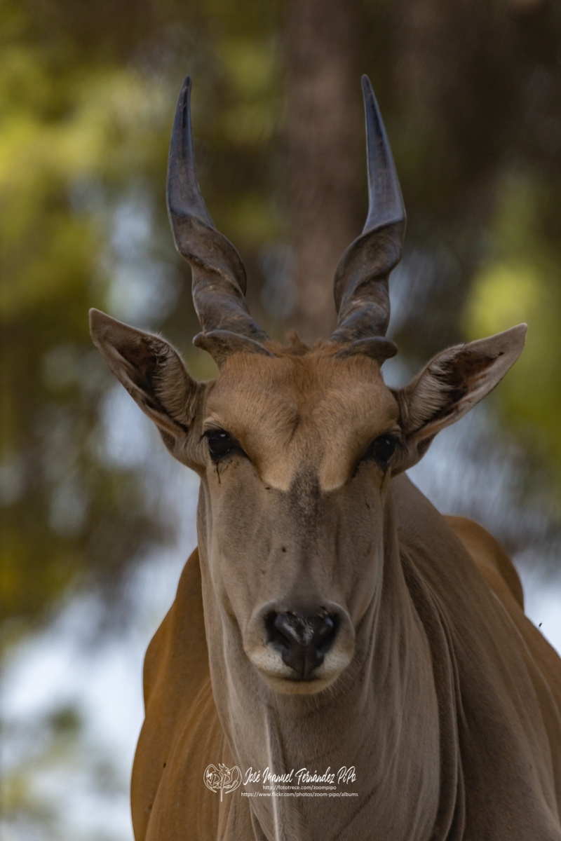 49372856221_085a2c7dba_o