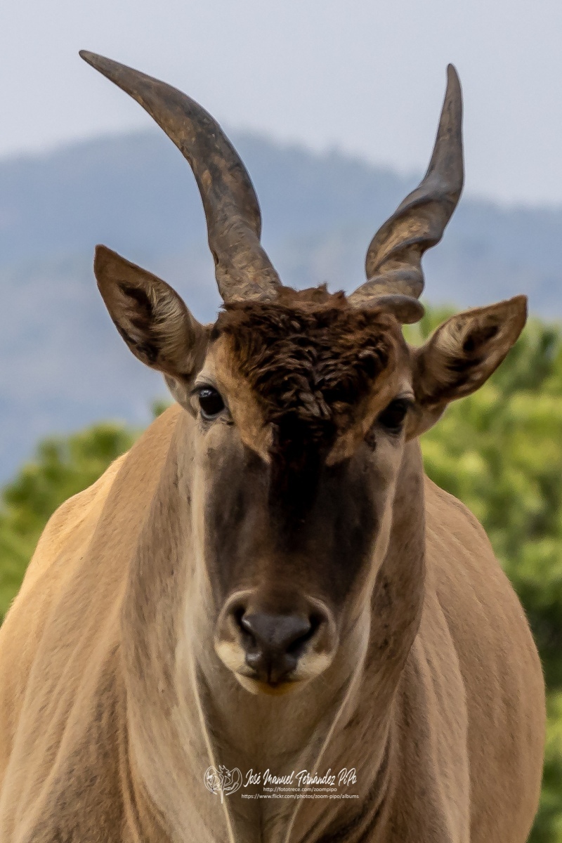 49742809542_0a3e378415_o