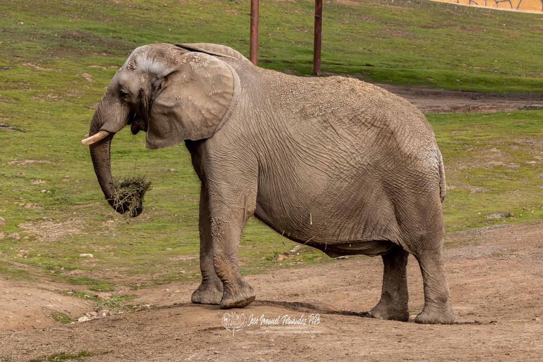 49741935763_8b0232dcd9_o