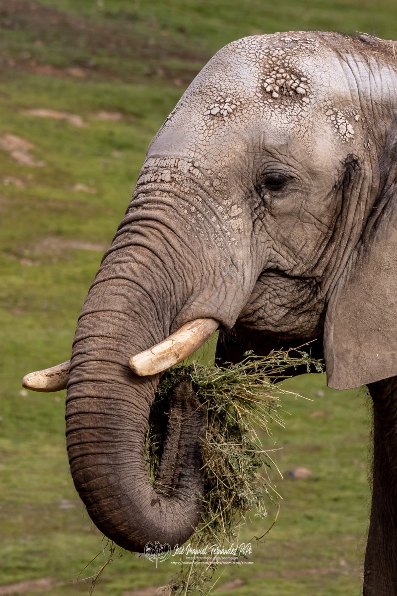 49742485901_635a4e7d15_o