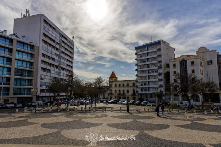 PiPo_737439-E-Erl