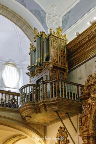 PiPo_737465-E-Erl
