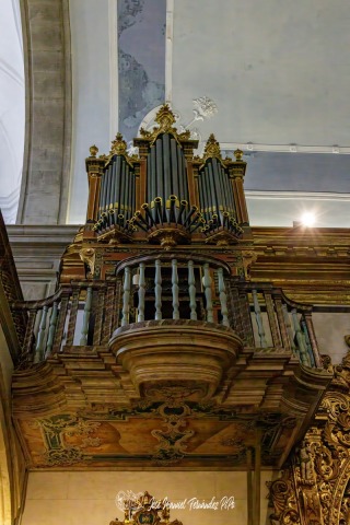 PiPo_737467-E-Erl