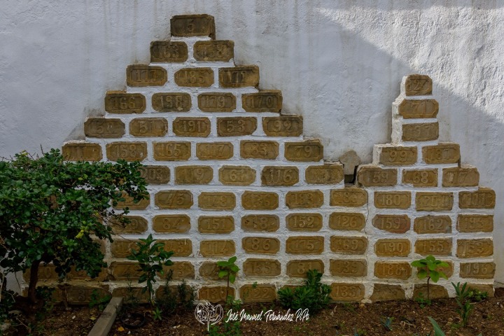 PiPo_737477-E-Erl