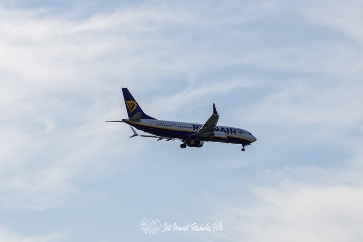PiPo_737523-E-Erl