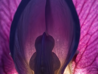 Naturaleza
