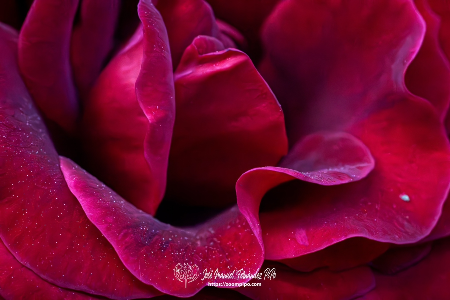 PiPo-0766403-Mejorado-NR-E-E