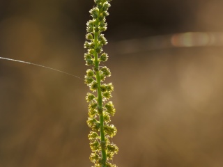 Naturaleza