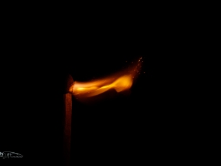 Fuego