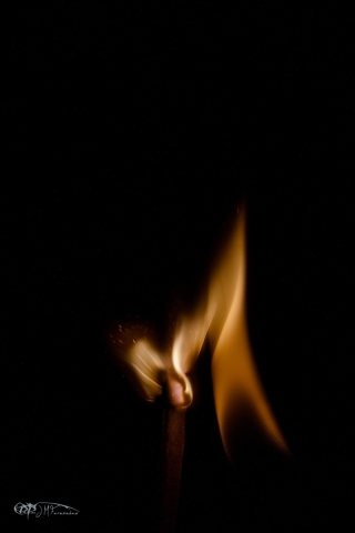 31249807693_8bf8990f69_o