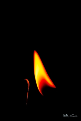 31324494680_f102b0a1b7_o