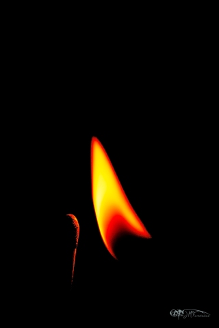 31324494680_f102b0a1b7_o