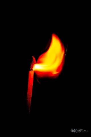 31550632942_a6c7de2253_o