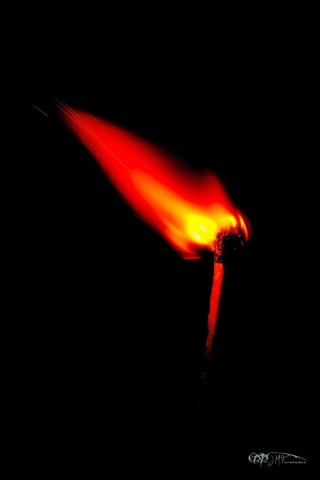31696970015_45b2e01861_o