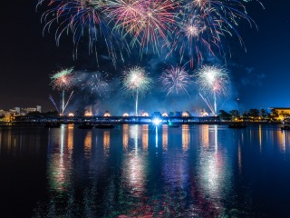 Fuegos Artificiales