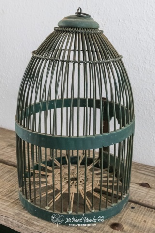 PIP1873