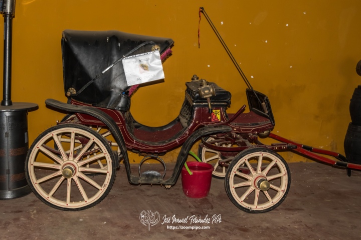 PIP1886