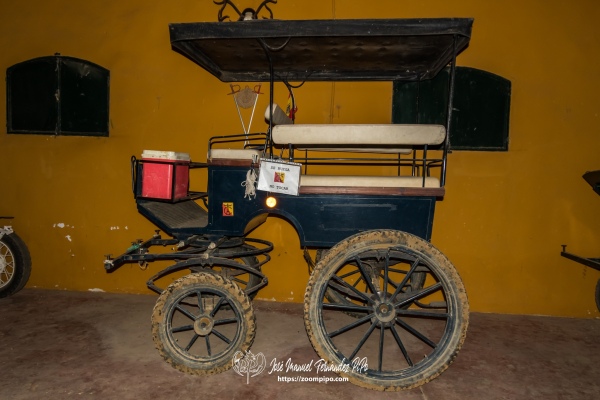 PIP1900