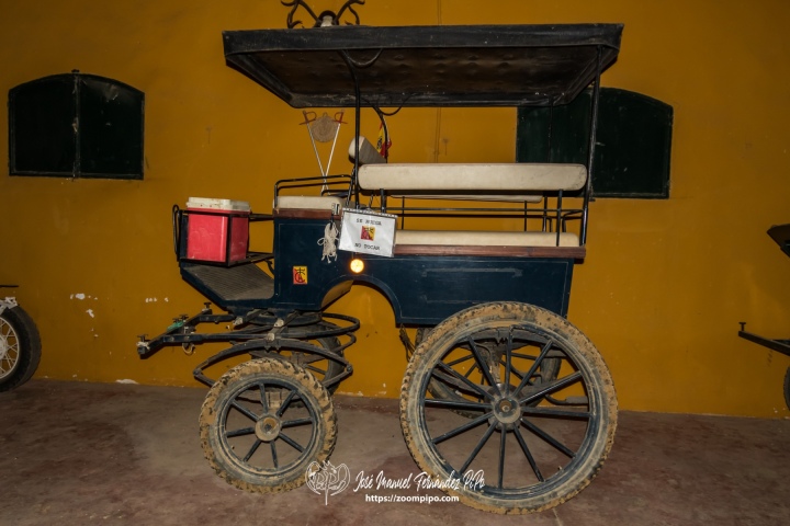 PIP1900
