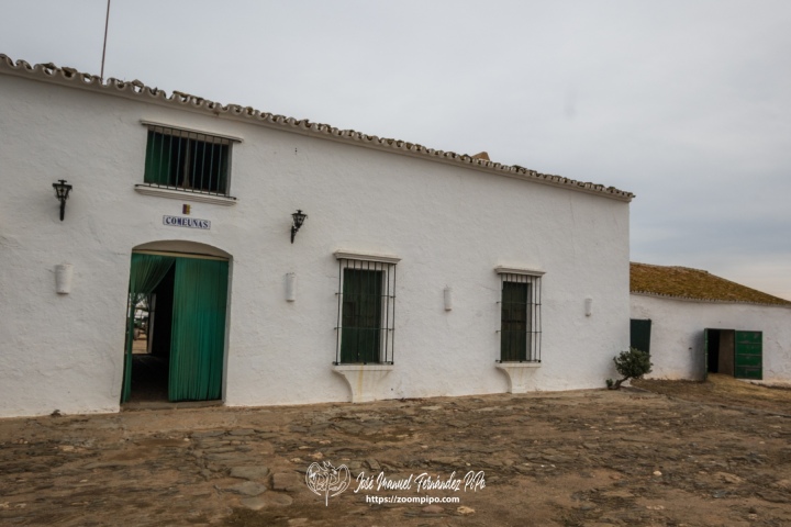 PIPO1068