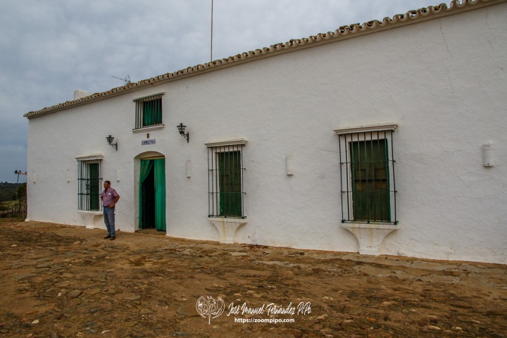 PIPO1813