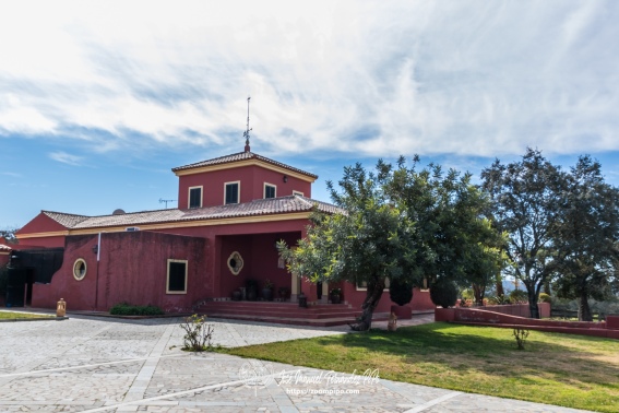 Ganaderia Espartaco 02-03-16