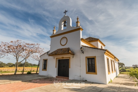 Ganaderia Los Millares. 04-02-16