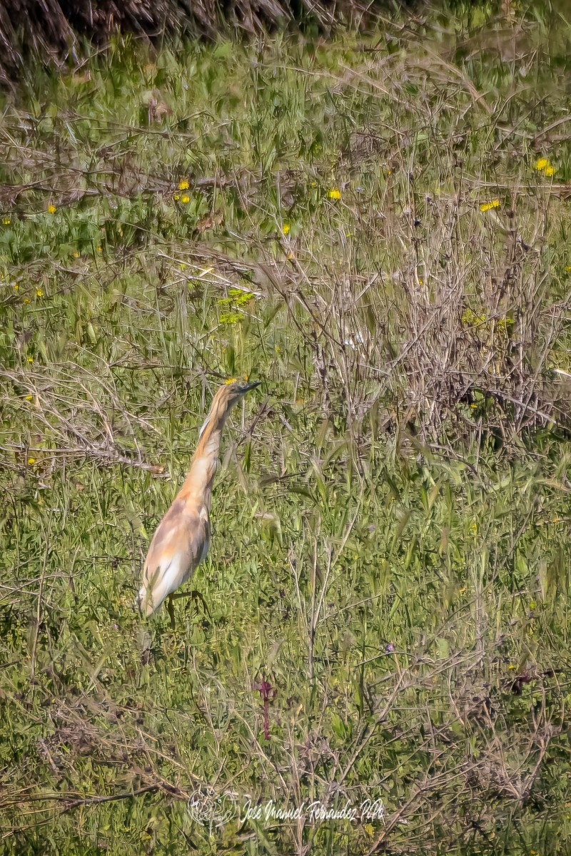 PiPo_321643-CR3_DxO_DeepPRIMErlr