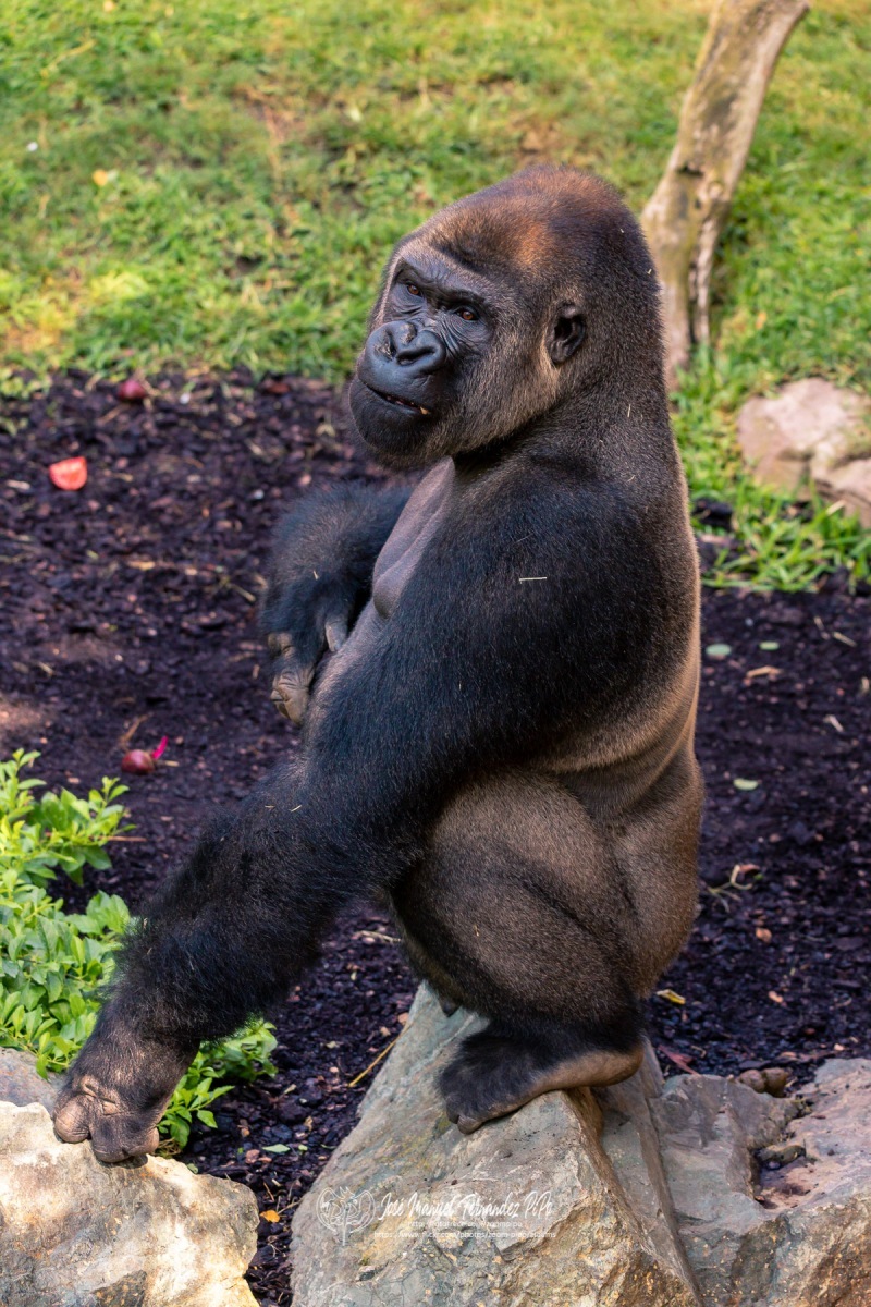 49207564693_3af8db1773_o