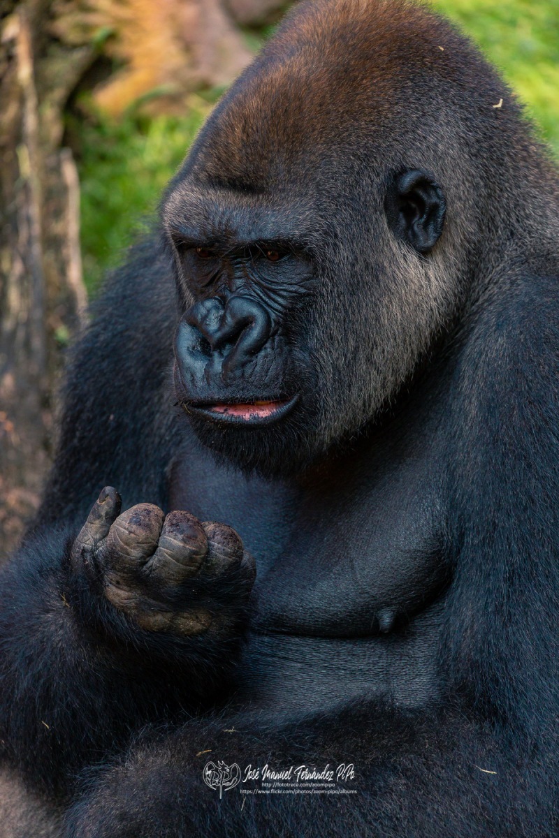 49208048076_351ac6afaa_o