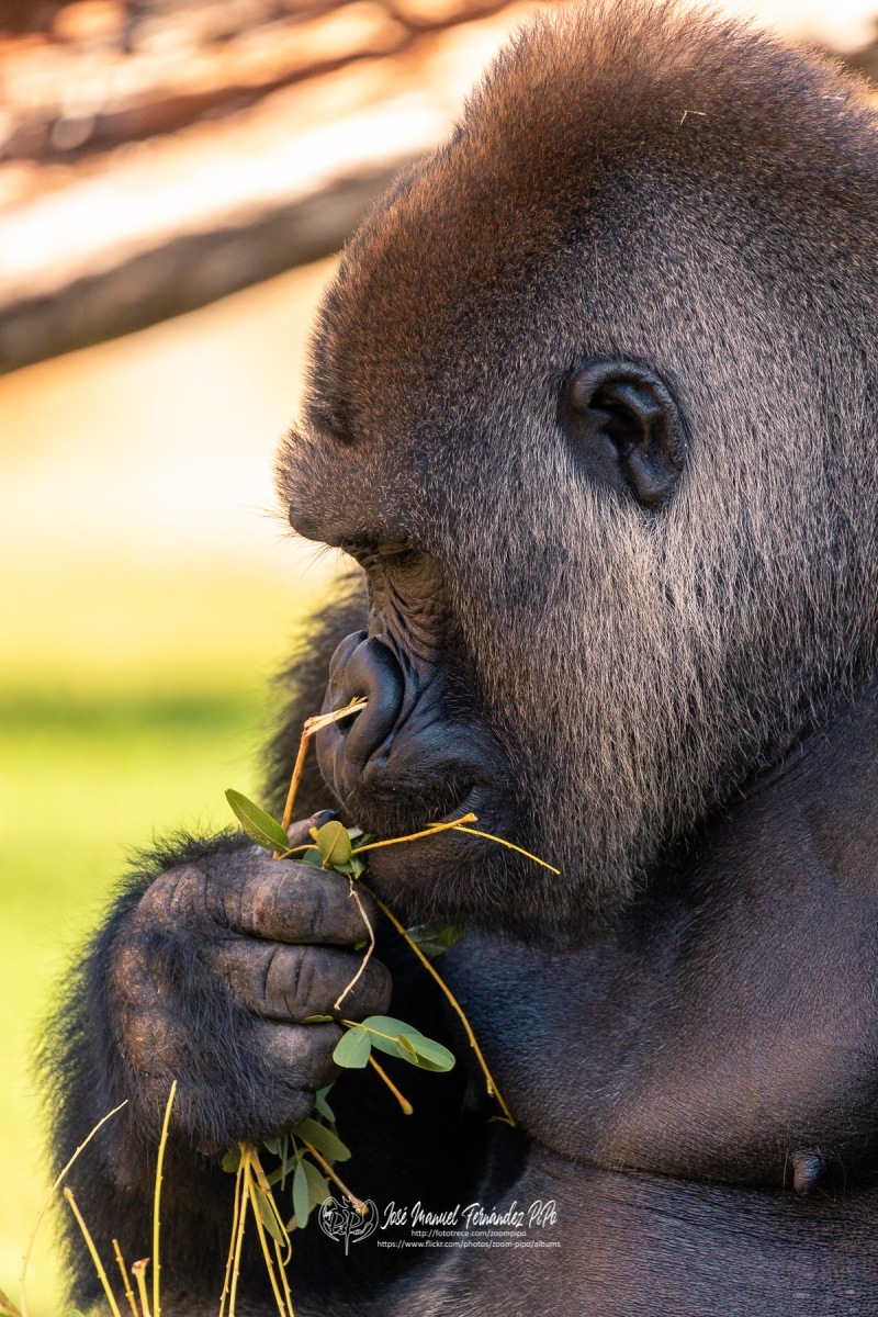 49792188106_9f36ca633f_o