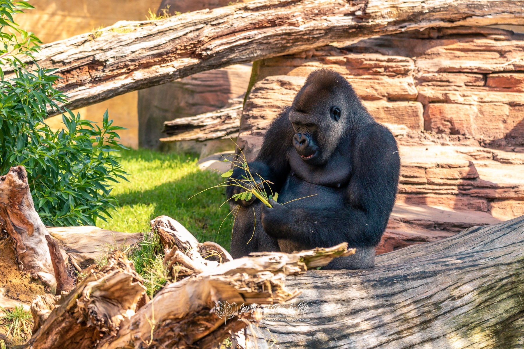 49792495187_fc72ecee28_o