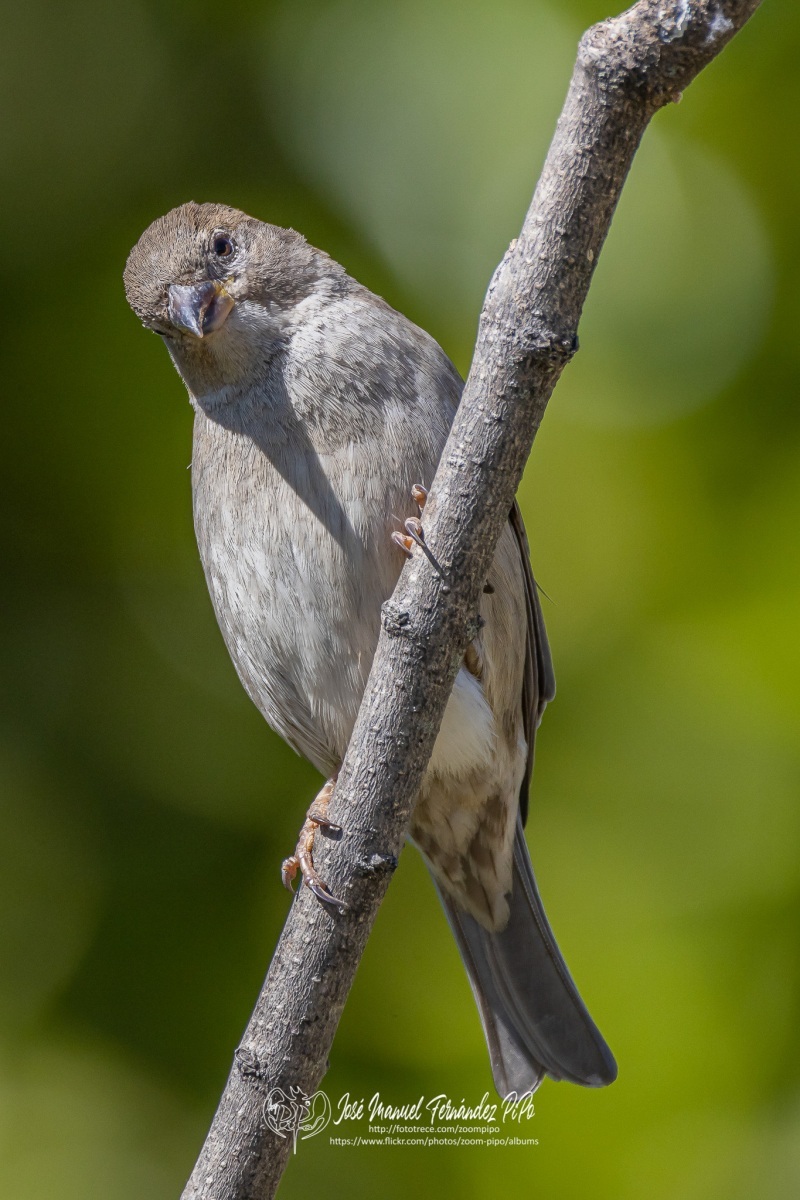 50062086628_6bfbf4d5cb_or