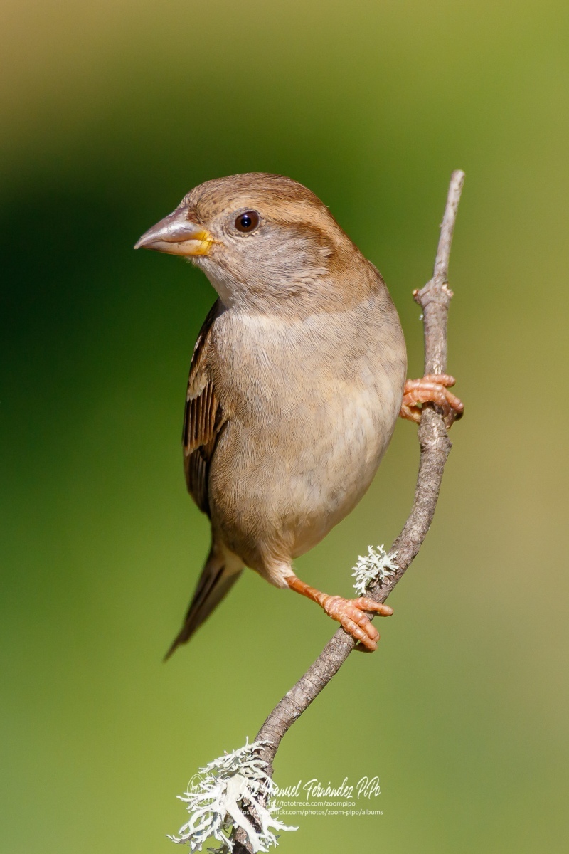 50070818463_a5865de72f_or