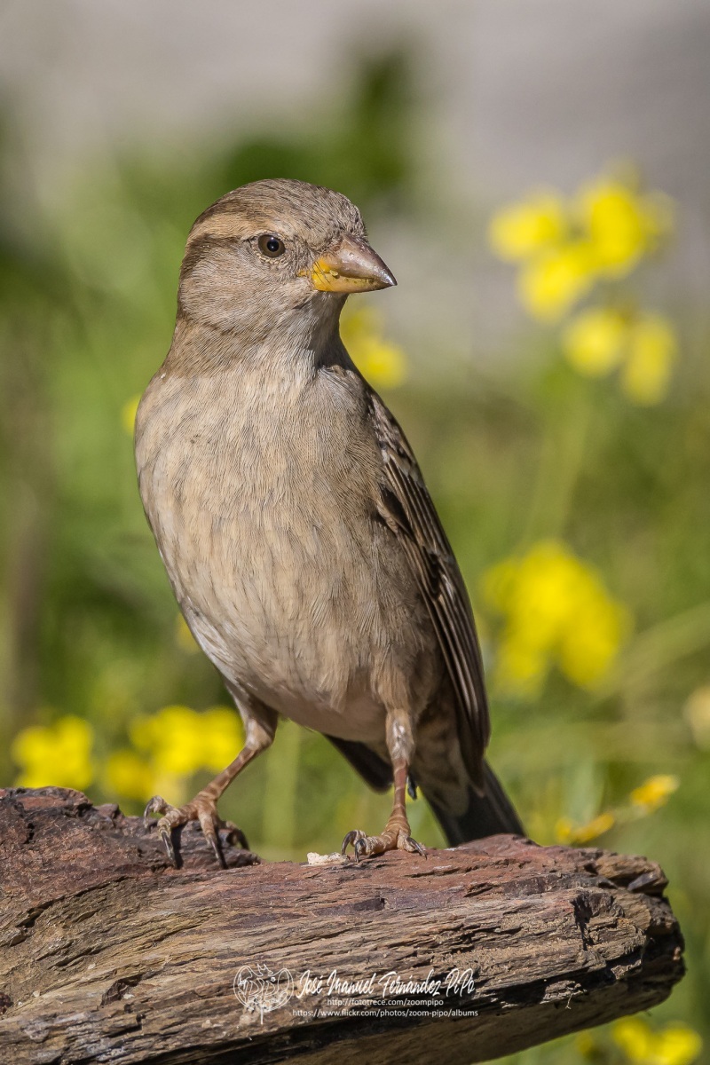 51001371210_233032e36d_or