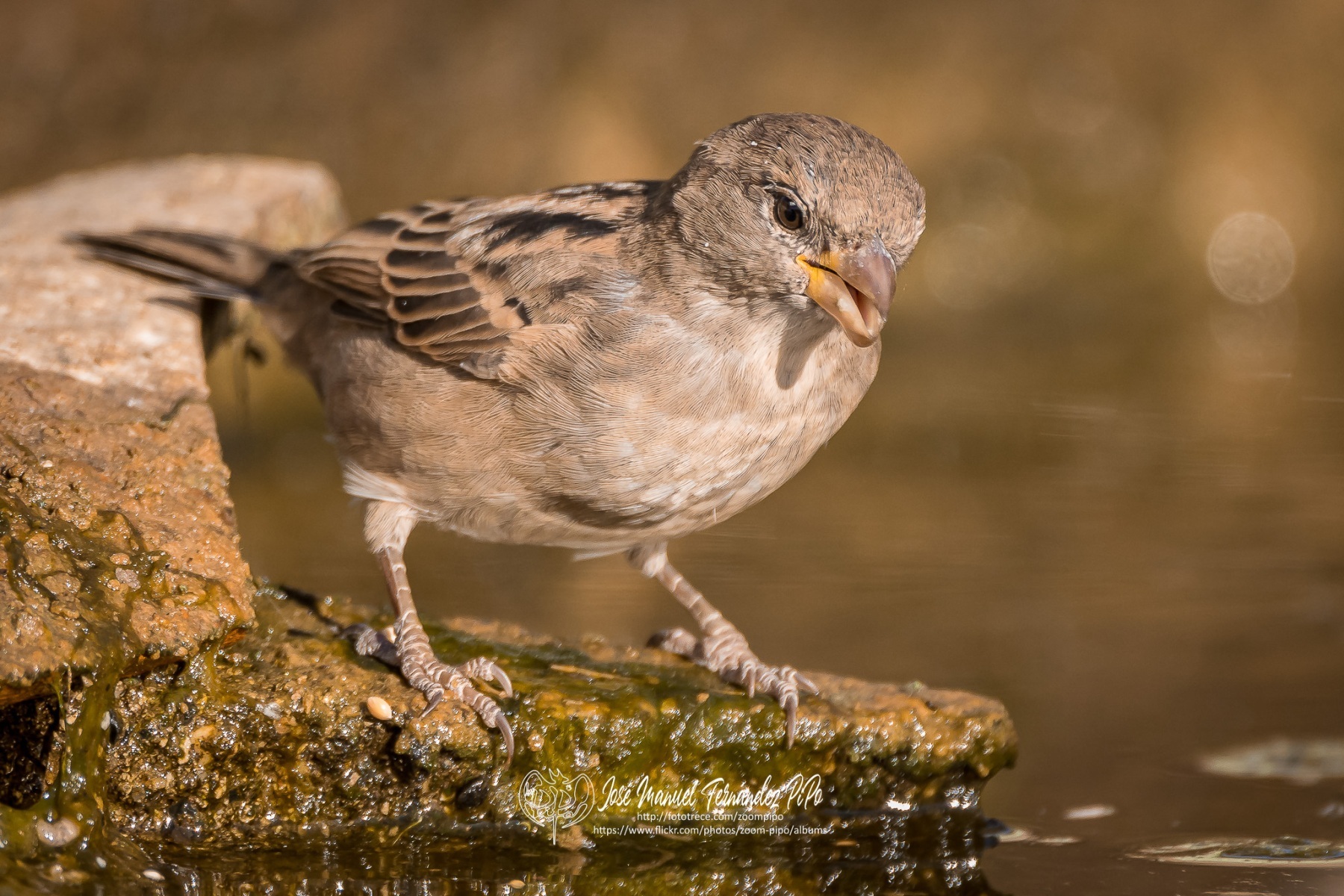 51025583001_e3c56921f7_or